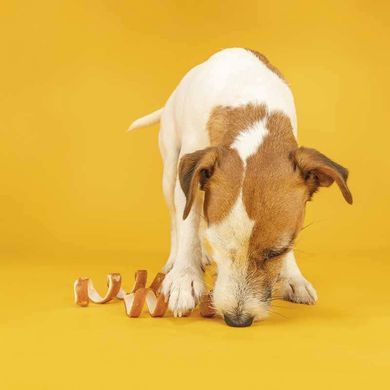 Trixie (Тріксі) DentaFun Knotted Chewing &ndash; Ласощі з куркою для чищення зубів, жувальні спіральки для собак, 3х15 см