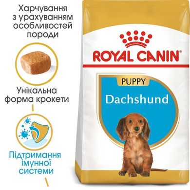 Royal Canin (Роял Канін) Dachshund Puppy - Сухий корм з м'ясом птиці для щенят такси 1,5 кг