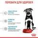 Royal Canin (Роял Канин) Maxi Puppy - Сухой корм для щенков от 2 до 15 месяцев, 4 кг