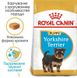 Royal Canin (Роял Канин) Yorkshire Terrier Puppy - Сухой корм с мясом птицы для щенков Йоркширского Терьера 500 г