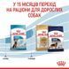 Royal Canin (Роял Канин) Maxi Puppy - Сухой корм для щенков от 2 до 15 месяцев, 4 кг