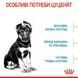 Royal Canin (Роял Канин) Maxi Puppy - Сухой корм для щенков от 2 до 15 месяцев, 4 кг