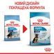 Royal Canin (Роял Канин) Maxi Puppy - Сухой корм для щенков от 2 до 15 месяцев, 4 кг