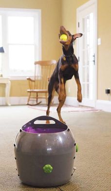 PetSafe (ПетСейф) Automatic Ball Launcher - Автоматический метатель мячей, игрушка для собак Комплект