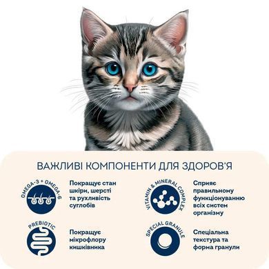 Home Food (Хоум Фуд) Fresh Chicken Kittens - Сухой корм с курицей для котят, 1,6 кг
