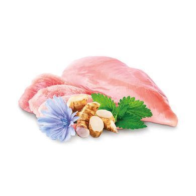 Home Food (Хоум Фуд) Fresh Chicken Kittens - Сухой корм с курицей для котят, 1,6 кг