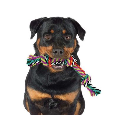 Petstages (Петстейджес) Multi Rope Chew - Іграшка для собак "Кольоровий канат з вузлами" Small