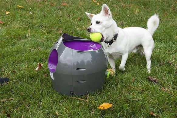 PetSafe (ПетСейф) Automatic Ball Launcher - Автоматический метатель мячей, игрушка для собак Комплект