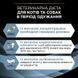 Pro Plan Veterinary Diets (Про План Ветеринари Диетс) by Purina Cn Convalescence - Влажный корм для кошек и собак при выздоровлении, 195 г