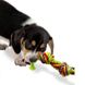 Petstages (Петстейджес) Multi Rope Chew - Іграшка для собак "Кольоровий канат з вузлами" Small