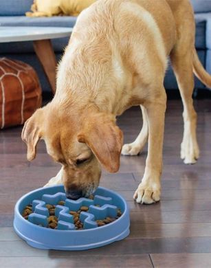 Outward Hound (Аутвард Хаунд) Fun Feeder Slo-Bowl Tetris - Нескользящая миска-лабиринт Тетрис для медленного кормления собак M Голубой