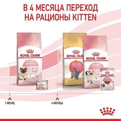 Royal Canin (Роял Канин) Mother&Babycat - Сухой корм с птицей для котят от 1 до 4 месяцев, 10 кг