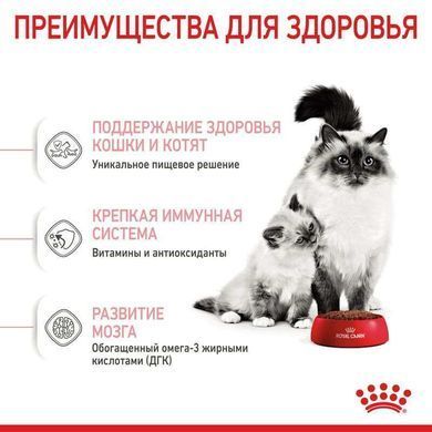 Royal Canin (Роял Канин) Mother&Babycat - Сухой корм с птицей для котят от 1 до 4 месяцев, 10 кг