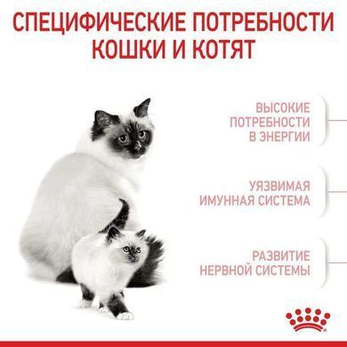 Royal Canin (Роял Канин) Mother&Babycat - Сухой корм с птицей для котят от 1 до 4 месяцев, 10 кг