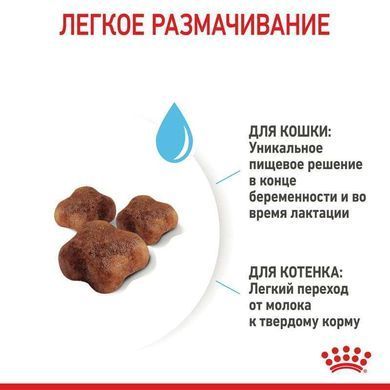 Royal Canin (Роял Канин) Mother&Babycat - Сухой корм с птицей для котят от 1 до 4 месяцев, 10 кг