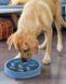 Outward Hound (Аутвард Хаунд) Fun Feeder Slo-Bowl Tetris - Нескользящая миска-лабиринт Тетрис для медленного кормления собак M Голубой