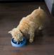 Outward Hound (Аутвард Хаунд) Fun Feeder Slo-Bowl Tetris - Нескользящая миска-лабиринт Тетрис для медленного кормления собак, Голубой, L