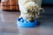 Outward Hound (Аутвард Хаунд) Fun Feeder Slo-Bowl Tetris - Неслизька миска-лабіринт Тетріс для повільного годування собак M Блакитний
