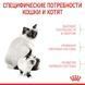 Royal Canin (Роял Канин) Mother&Babycat - Сухой корм с птицей для котят от 1 до 4 месяцев, 10 кг