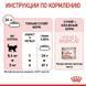 Royal Canin (Роял Канин) Mother&Babycat - Сухой корм с птицей для котят от 1 до 4 месяцев, 10 кг