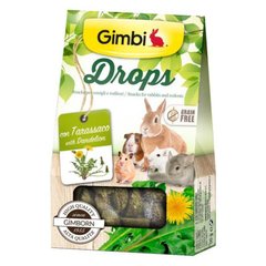 Gimpet (ДжимПет) GimBi Drops – Лакомство для грызунов, дропсы с одуванчиком 50 г