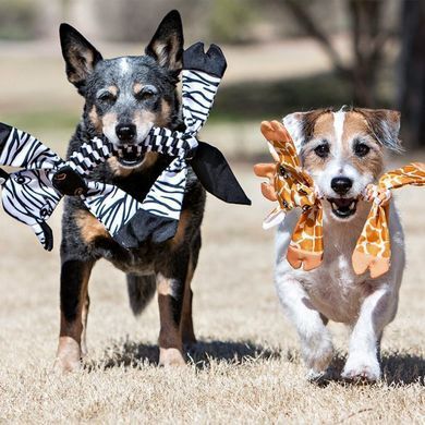 Jolly Pets (Джоллі Петс) FLATHEADS - Iграшка-пискавка хрустка Флетхедс для собак, Игуана, Large