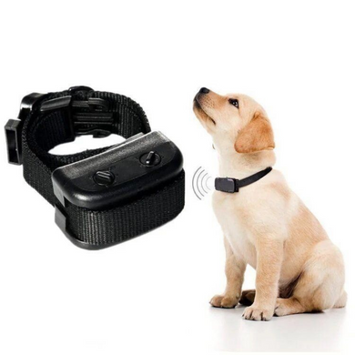 Petrainer (ПетТрейнер) PET850 - Електронний нашийник "Антилай" для дресирування собак PET850