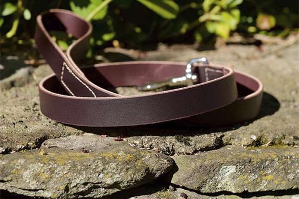 Coastal (Костал) Circle-T Latigo Leather - Поводок кожаный для собак 1,6x180 см Бордовый