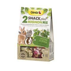 Gimpet (ДжимПет) GimBi Mignon Mix – Лакомство для грызунов, микс крапива и травы 50 г
