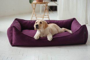 Haustier Лежак для собак Sweet Dreams Purple - XXS