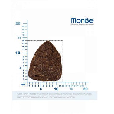 Monge (Монж) BWild Low Grain Wild Deer Adult All Breeds - Низкозерновой сухой корм из мяса оленя для взрослых собак всех пород 2,5 кг