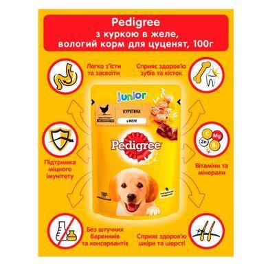 Pedigree (Педігрі) - Вологий корм курка з рисом в желе для цуценят, 100 г