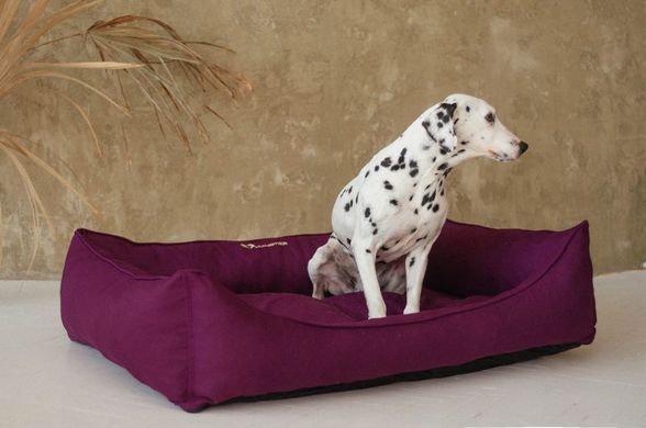Haustier Лежак для собак Sweet Dreams Purple - XXS