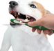 Nylabone (Нілабон) Advanced Oral Care - Набір догляду за зубами для собак з натуральним ароматом арахісу