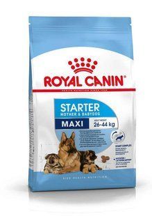 Royal Canin (Роял Канин) Maxi Starter Mother&Babydog - Сухой корм для щенков и кормящих самок крупных пород, 4 кг