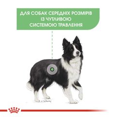 Royal Canin (Роял Канин) Medium Digestive Care - Сухой корм для собак с чувствительной пищеварительной системой 3 кг
