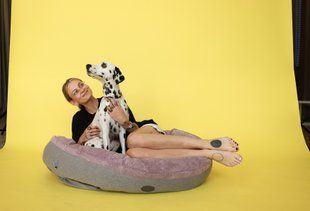 Harley & Cho (Харли энд Чо) Donut Soft Touch - Овальный лежак - Розовый, M