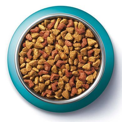 Purina ONE (Пуріна Ван) DualNature Spirulina &ndash; Сухий корм з куркою і спіруліною для котів, 750 г