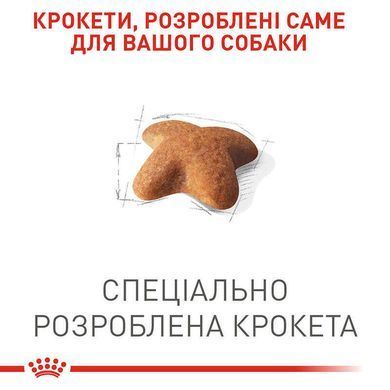 Royal Canin (Роял Канін) Beagle Adult - Сухий корм для дорослих собак породи бігль, 3 кг