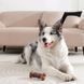 M-Pets (М-Петс) Chewood Dog toy Small Bone with rubber - Іграшка Маленька кістка з гумою для собак, Коричневий, S