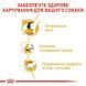 Royal Canin (Роял Канін) Beagle Adult - Сухий корм для дорослих собак породи бігль, 3 кг