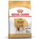 Royal Canin (Роял Канін) Beagle Adult - Сухий корм для дорослих собак породи бігль, 3 кг
