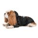 Pet Fashion (Пет Фешн) Trick or Treat Casper – Толстовка з принтом Каспера для собак (чорна) XS-2 (26-28 см)