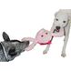Jolly Pets (Джолли Пэтс) TUG-A-MAL Pig Dog Toy - Игрушка-пищалка Свинка для перетягивания 10х30х11 см