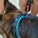 Ferplast (Ферпласт) Sport Dog Matic - Повідець нейлоновий для собак 2x120 см Жовтий
