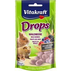 Vitakraft (Витакрафт) Drops WildBerries - Лакомство-драже с лесными ягодами для всех видов грызунов 75 г