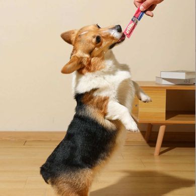 M-Pets (М-Петс) Creamy - Лакомство кремовое с лососем для собак, 60 г