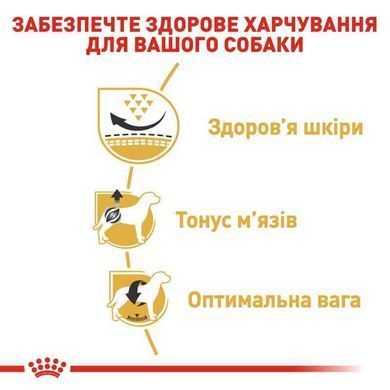 Royal Canin (Роял Канин) Pug Adult - Сухой корм для взрослых Мопсов, 3 кг