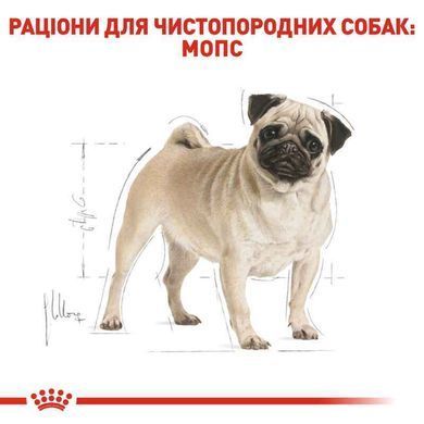 Royal Canin (Роял Канин) Pug Adult - Сухой корм для взрослых Мопсов, 3 кг
