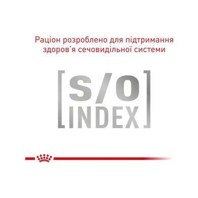 Royal Canin (Роял Канин) Urinary S/O Ageing7+ - Консервированный корм для собак старше 7 лет с заболеваниями мочевыводящих путей (паштет), 85 г
